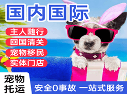 鄂尔多斯机场空运国际宠物托运 【国